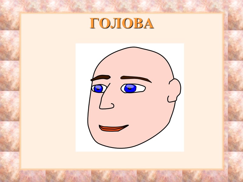 ГОЛОВА